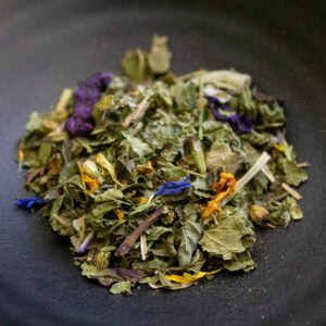 Bio Wellness Nr. 1  30g