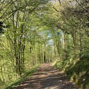 unterwegs und draußen