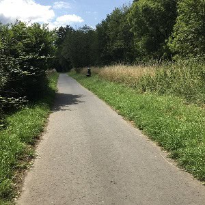 Kräuter(spazier)gang barrierefrei