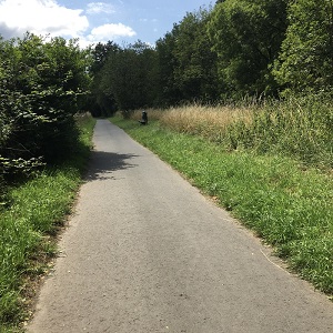 herbal walk – we speak english